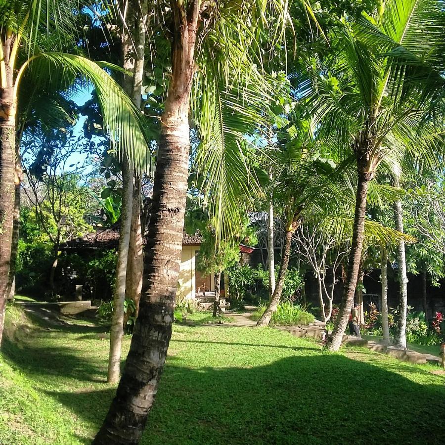 Argasoka Bungalows Ubud Kültér fotó
