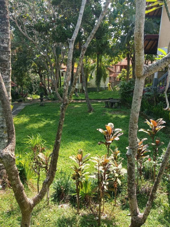 Argasoka Bungalows Ubud Kültér fotó