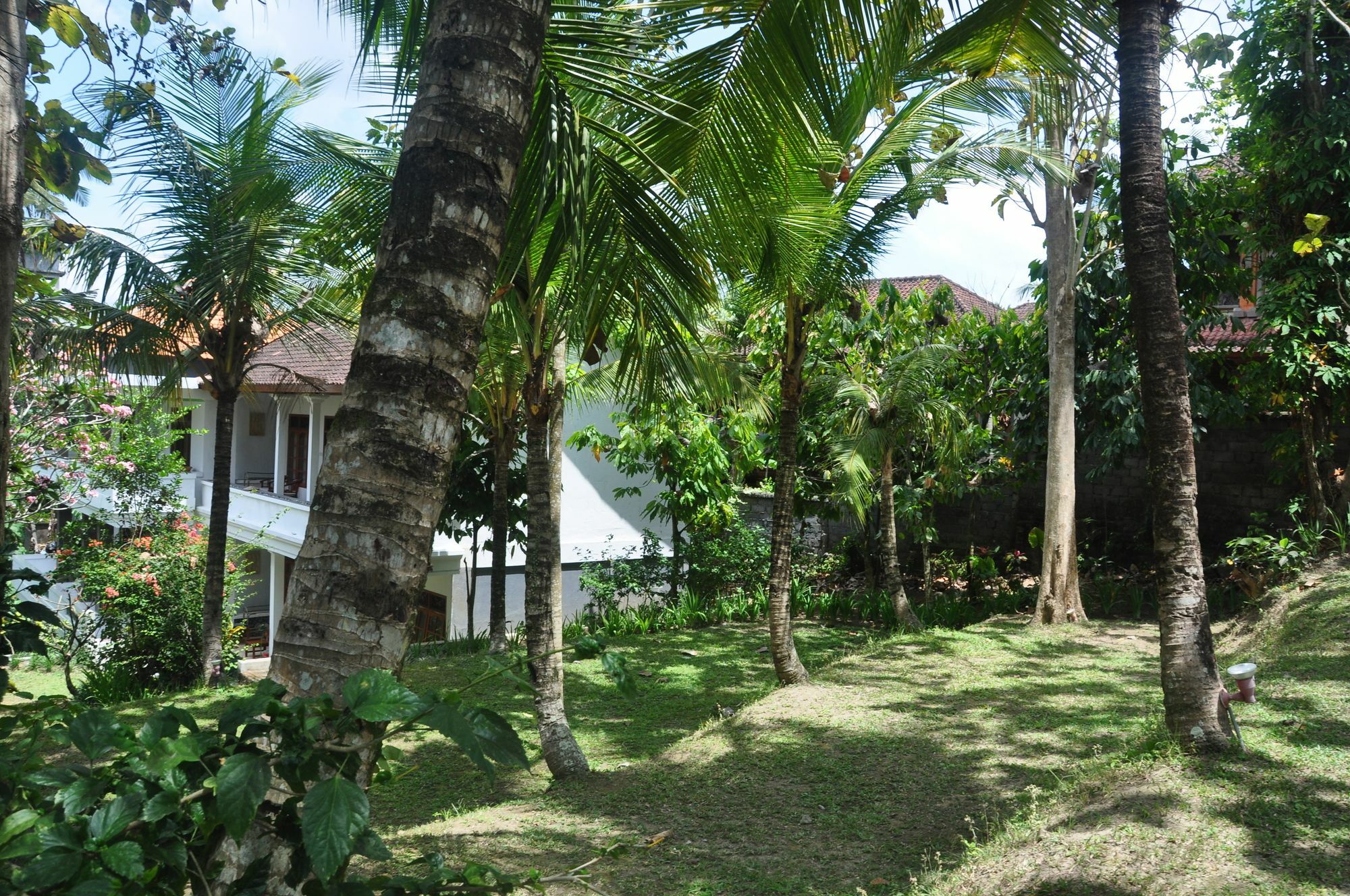 Argasoka Bungalows Ubud Kültér fotó